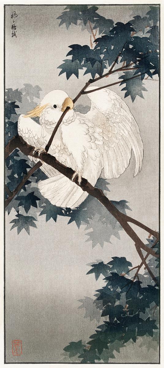 Yellow crested cockatoo in tree (1900 - 1940)… | Free public domain illustration Yellow crested cockatoo in tree (1900 - 1940) by Ohara Koson n (1877-1945). Original from The Rijksmuseum. Digitally enhanced…