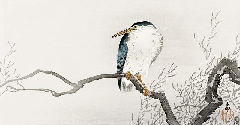 Quack on erratic branch (1900 - 1910) by Ohara Koson (1877-1945). Original from The Rijksmuseum. Digitally enhanced by…