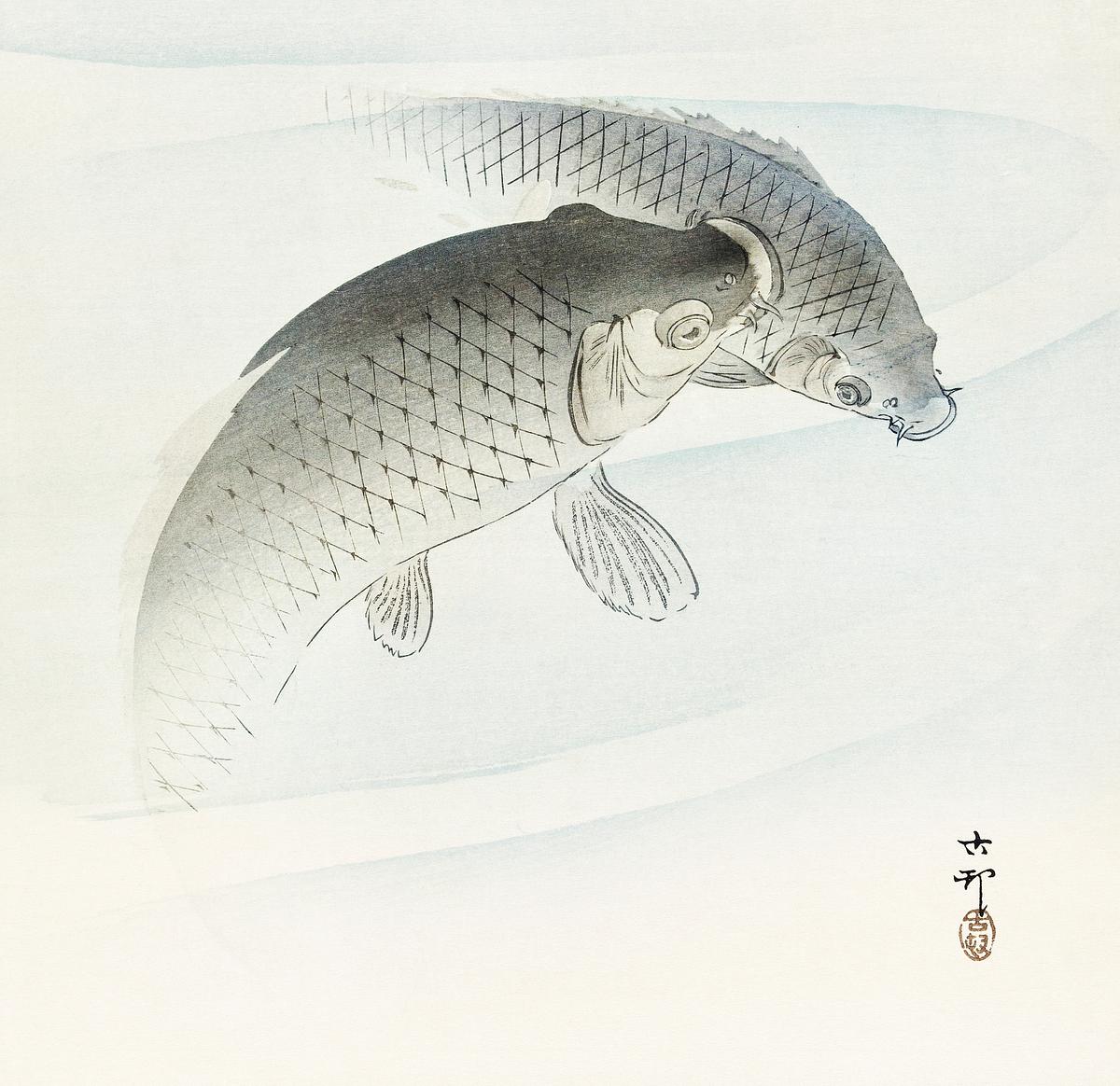Two carp fish (1900 - 1910) by Ohara Koson… | Free public domain illustration Two carp fish (1900 - 1910) by Ohara Koson (1877-1945). Original from The Rijksmuseum. Digitally enhanced by rawpixel.