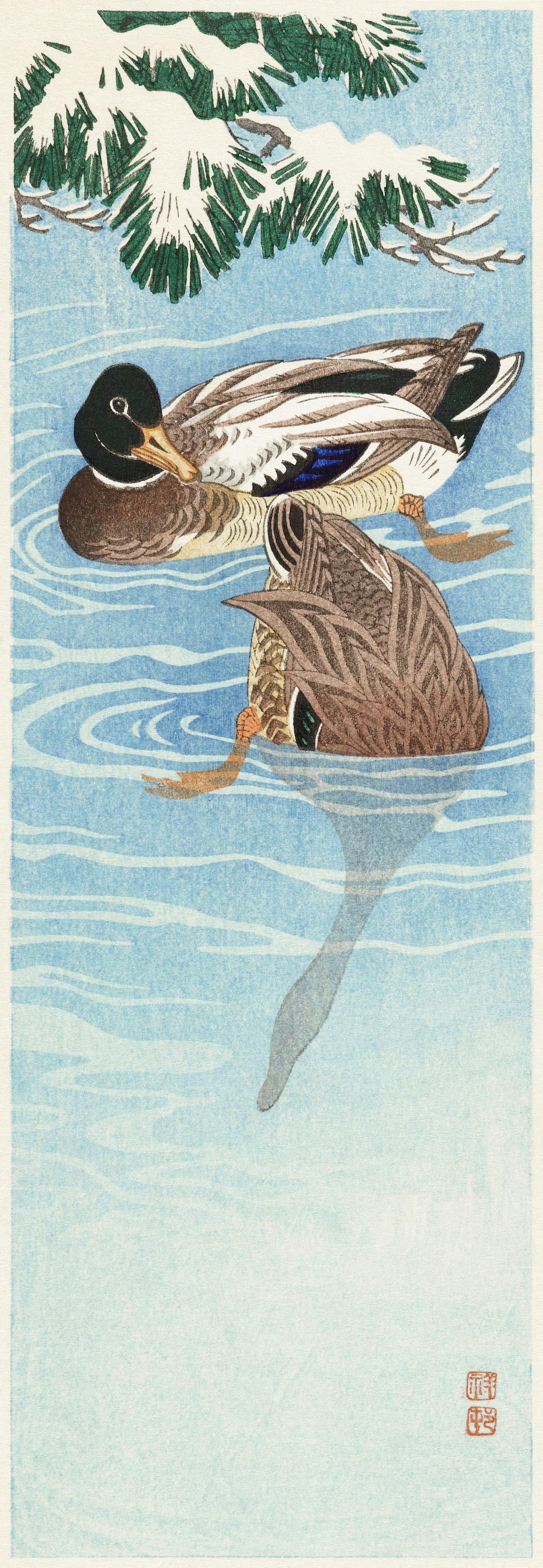 Couple of ducks in the water (1925 - 1936) by Ohara Koson (1877-1945). Original from The Rijksmuseum. Digitally enhanced by... Couple of ducks in the water (1925 - 1936) by Ohara Koson (1877-1945). Original from The Rijksmuseum. Digitally enhanced by...