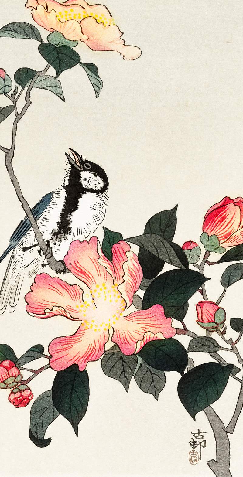 Great tit on branch with pink flowers (1900 -… | Free public domain illustration Great tit on branch with pink flowers (1900 - 1930) by Ohara Koson (1877-1945). Original from The Rijksmuseum. Digitally…