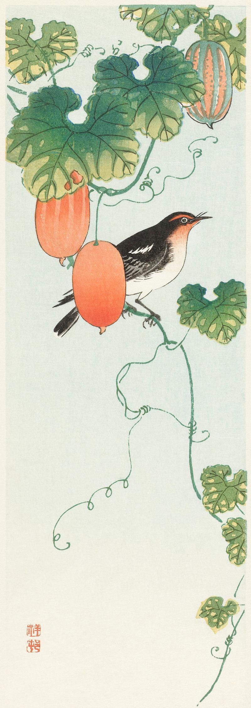 Songbird Songbird in cucumber plant (1925 - 1936) by Ohara Koson (1877-1945). Original from The Rijksmuseum. Digitally enhanced by…