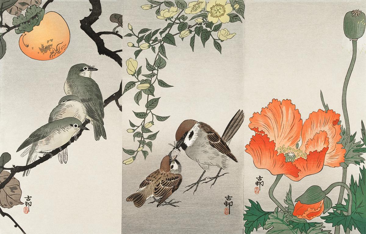 Birds and plants (1900 - 1936) by Ohara Koson… | Free public domain illustration Birds and plants (1900 - 1936) by Ohara Koson (1877-1945). Original from The Rijksmuseum. Digitally enhanced by rawpixel.