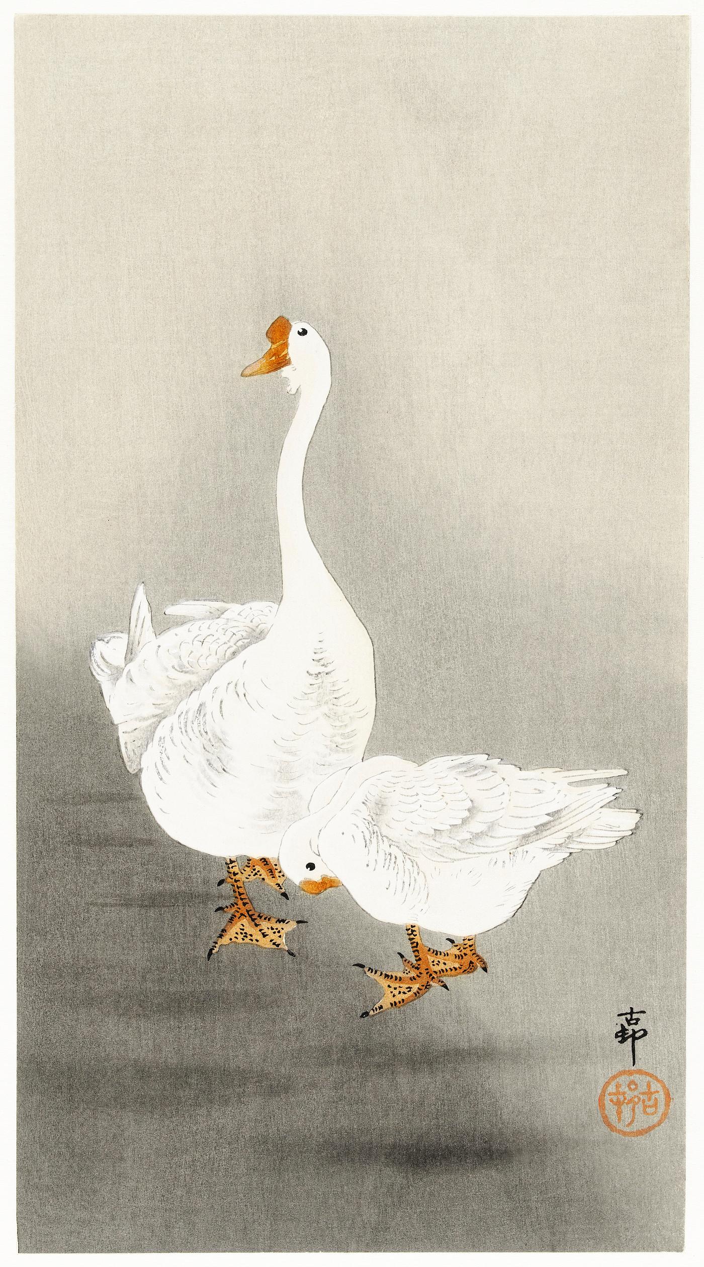 Two geese (1900 - 1930) by Ohara Koson (1877-1945). Original from The Rijksmuseum. Digitally enhanced by rawpixel. Two geese (1900 - 1930) by Ohara Koson (1877-1945). Original from The Rijksmuseum. Digitally enhanced by rawpixel.