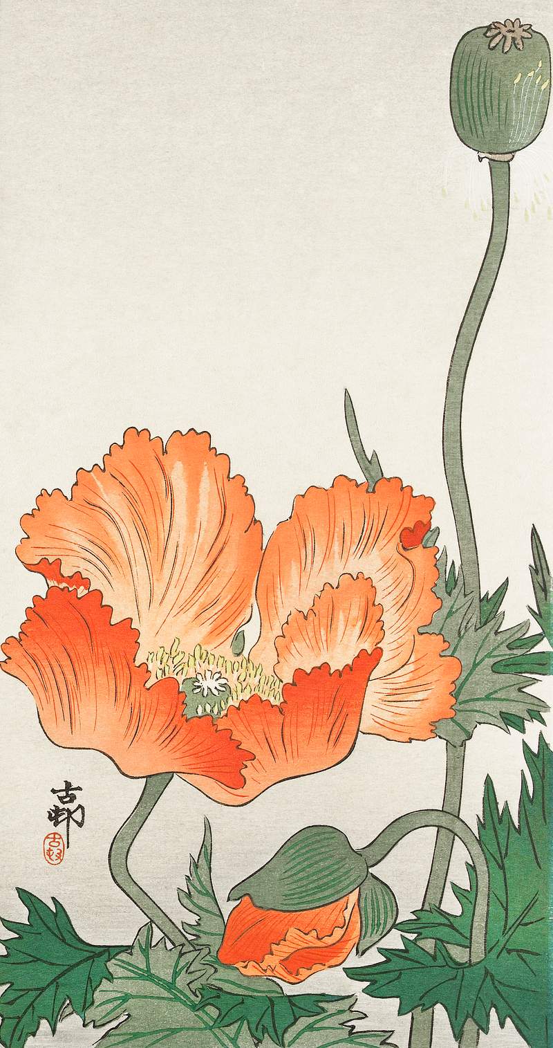 Birds and plants (1900 - 1936) by Ohara Koson (1877-1945). Original from The Rijksmuseum. Digitally enhanced by rawpixel.