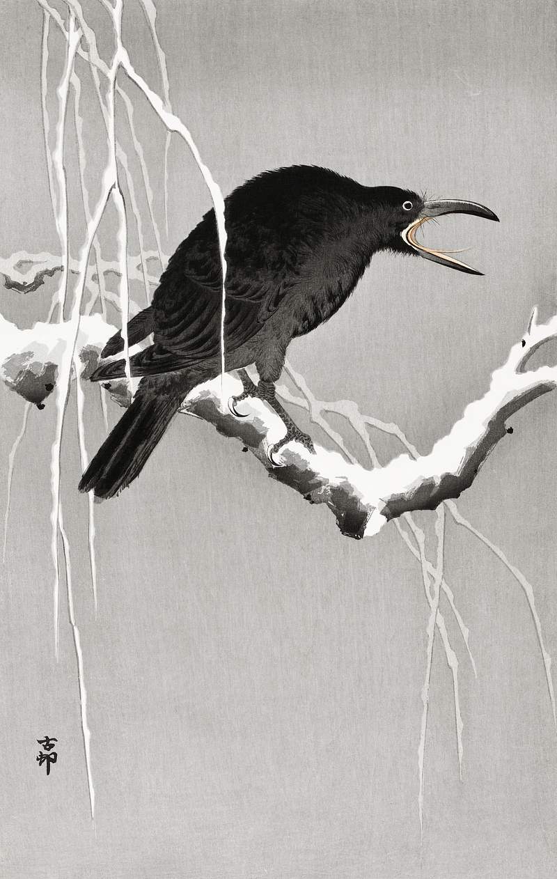 Crow on snowy tree branch (1900 - 1945) by… | Free public domain illustration Crow on snowy tree branch (1900 - 1945) by Ohara Koson (1877-1945). Original from The Rijksmuseum. Digitally enhanced by…