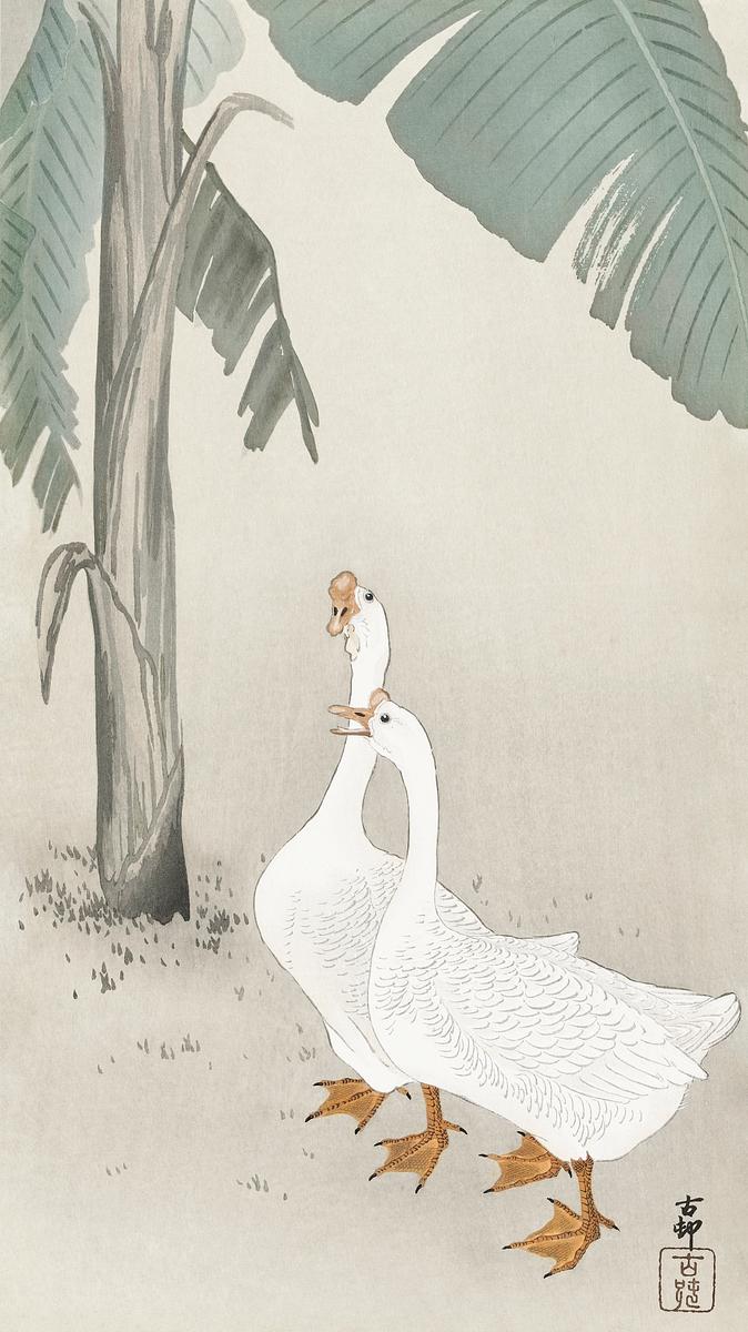 Two geese at banana tree (1900 - 1945) by… | Free public domain illustration Two geese at banana tree (1900 - 1945) by Ohara Koson (1877-1945). Original from The Rijksmuseum. Digitally enhanced by…