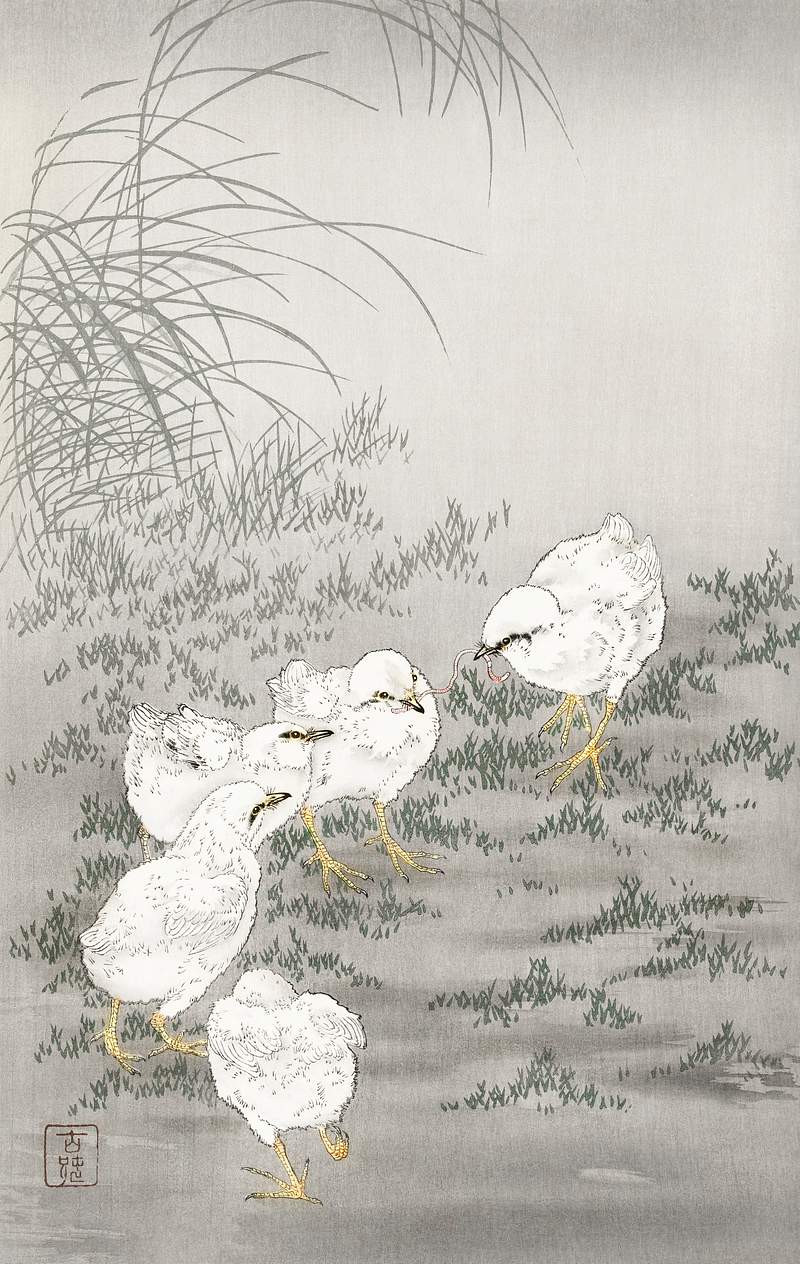 Five chicks (1900 - 1936) by Ohara Koson… | Free public domain illustration Five chicks (1900 - 1936) by Ohara Koson (1877-1945). Original from The Rijksmuseum. Digitally enhanced by rawpixel.