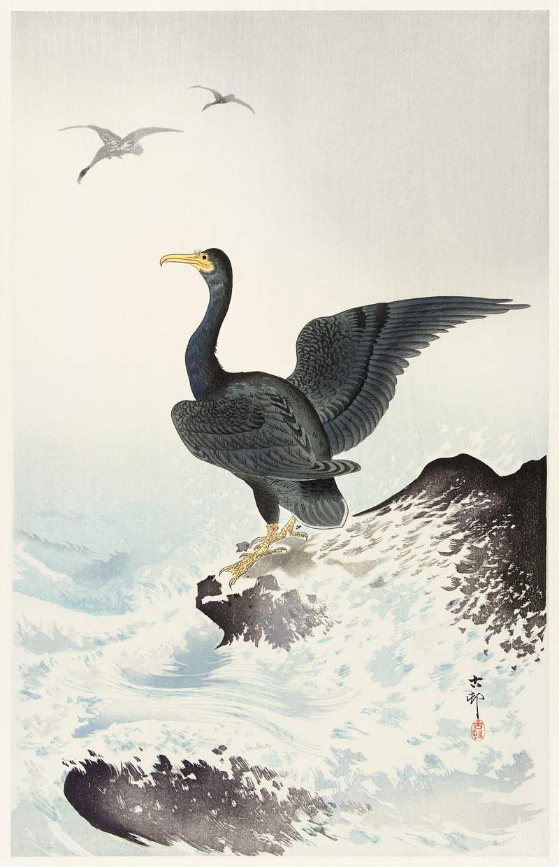 Red mask cormorant on rock (1900 - 1936) by… | Free public domain illustration Red mask cormorant on rock (1900 - 1936) by Ohara Koson (1877-1945). Original from The Rijksmuseum. Digitally enhanced by…
