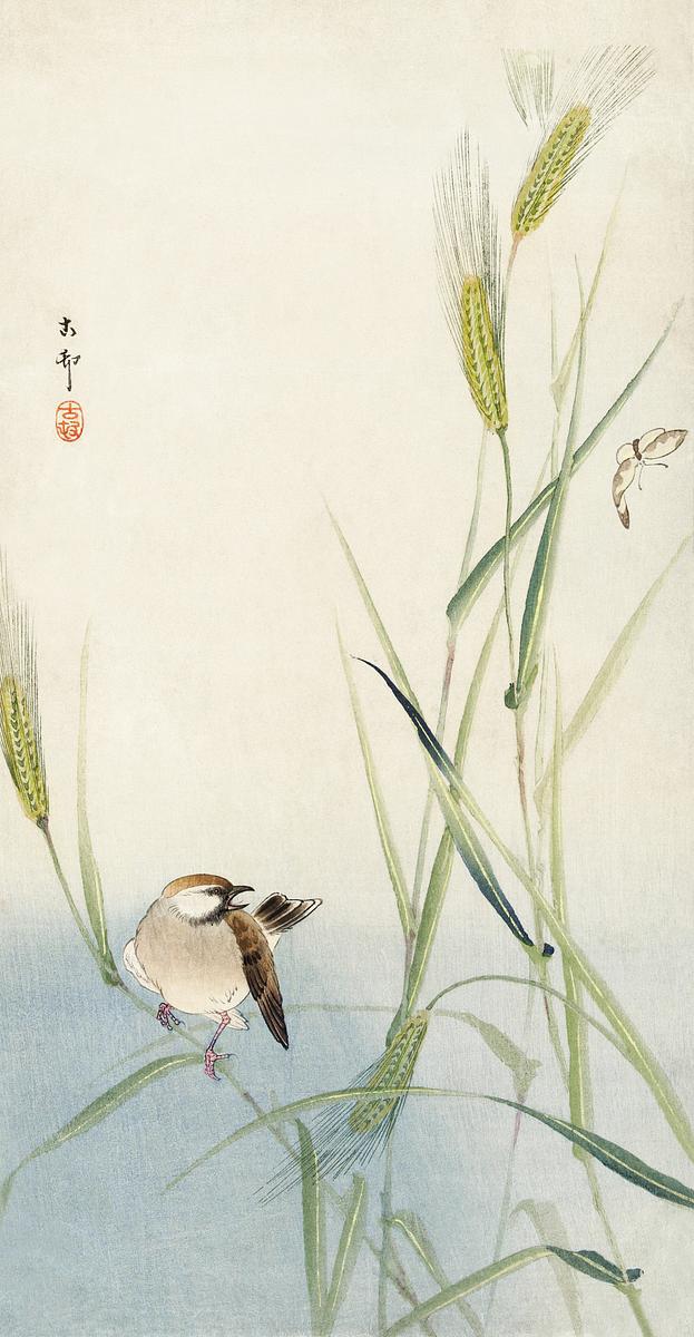 Bird and butterfly (1900 - 1930) by Ohara… | Free public domain illustration Bird and butterfly (1900 - 1930) by Ohara Koson (1877-1945). Original from The Rijksmuseum. Digitally enhanced by rawpixel.