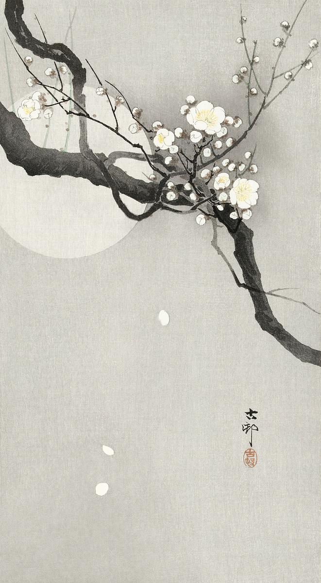Plum blossom and full moon (1900 - 1936) by… | Free public domain illustration Plum blossom and full moon (1900 - 1936) by Ohara Koson (1877-1945). Original from The Rijksmuseum. Digitally enhanced by…