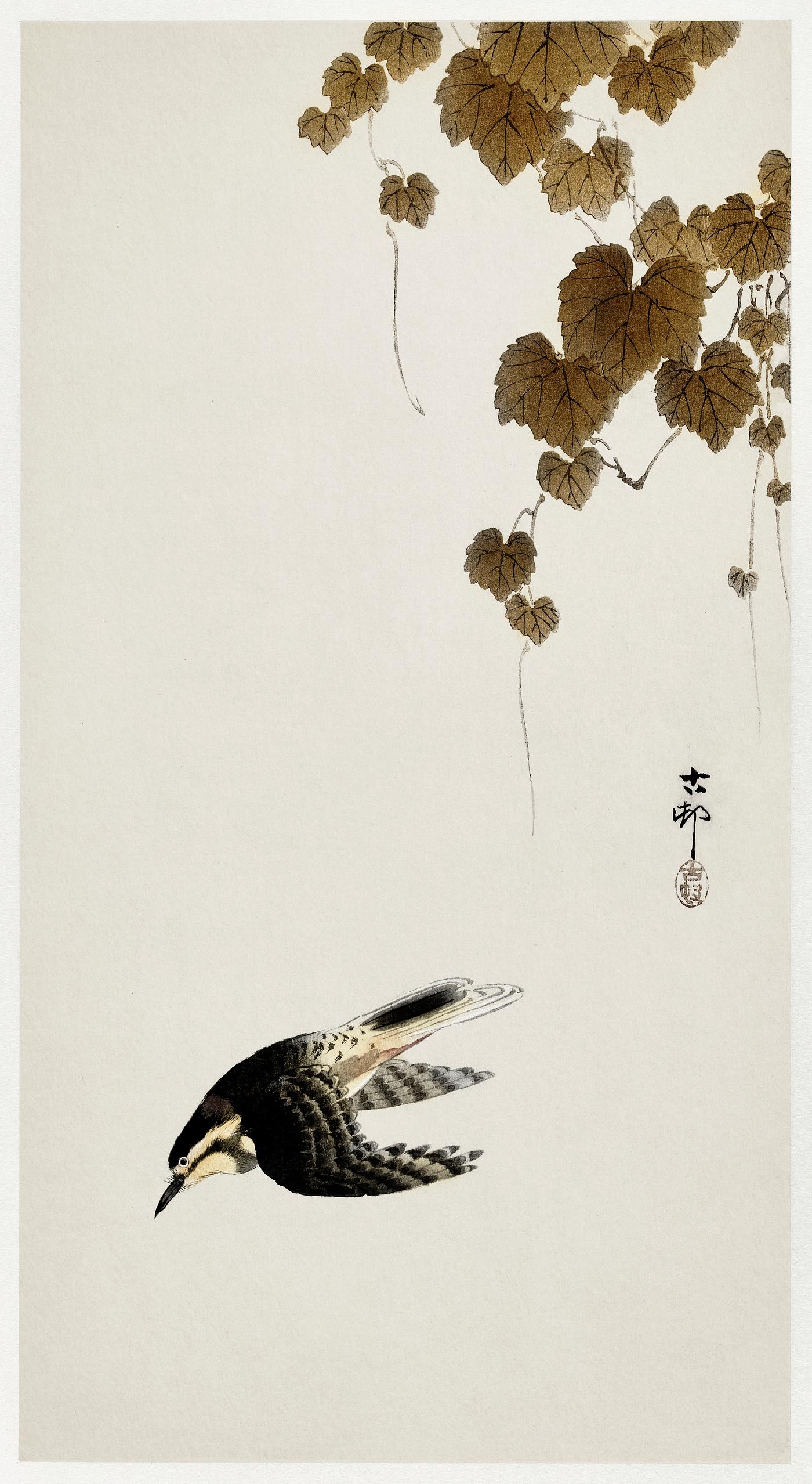 Bird in downward flight (1900 - 1930) by Ohara Koson (1877-1945). Original from The Rijksmuseum. Digitally enhanced by... Bird in downward flight (1900 - 1930) by Ohara Koson (1877-1945). Original from The Rijksmuseum. Digitally enhanced by...