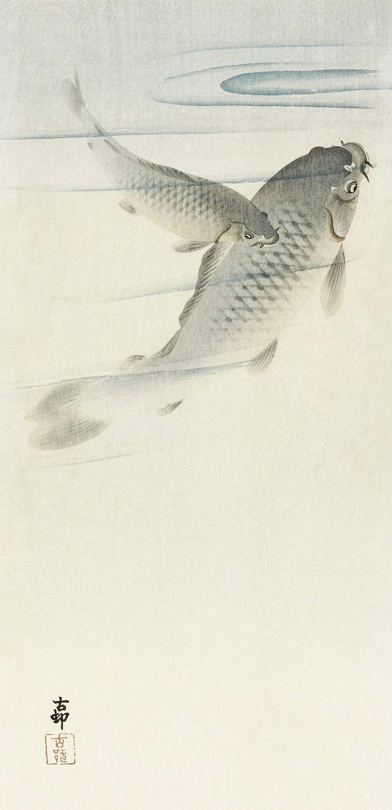 Carp (1900 - 1936) by Ohara Koson (1877… | Free public domain illustration Carp (1900 - 1936) by Ohara Koson (1877-1945). Original from The Rijksmuseum. Digitally enhanced by rawpixel.