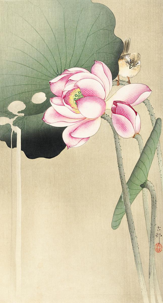 Songbird and Lotus (1900 - 1936) by Ohara… | Free public domain illustration Songbird and Lotus (1900 - 1936) by Ohara Koson (1877-1945). Original from The Rijksmuseum. Digitally enhanced by rawpixel.