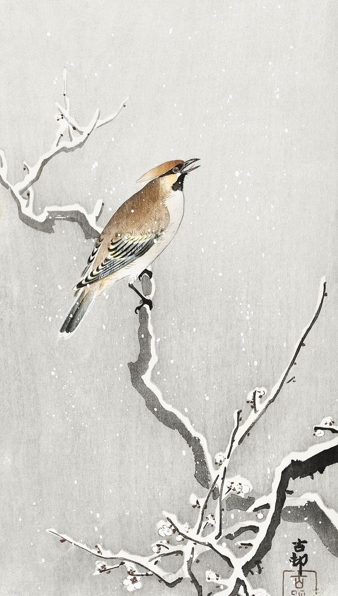 Bohemian bird on snowy branch (1900 - 1930)… | Free public domain illustration Bohemian bird on snowy branch (1900 - 1930) by Ohara Koson (1877-1945). Original from The Rijksmuseum. Digitally enhanced by…