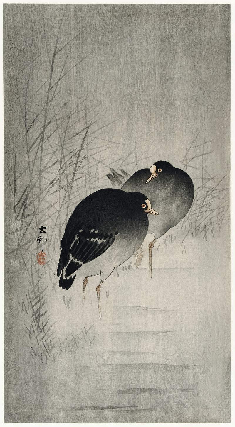 Moorhills between reeds (1900 - 1930) by… | Free public domain illustration Moorhills between reeds (1900 - 1930) by Ohara Koson (1877-1945). Original from The Rijksmuseum. Digitally enhanced by…