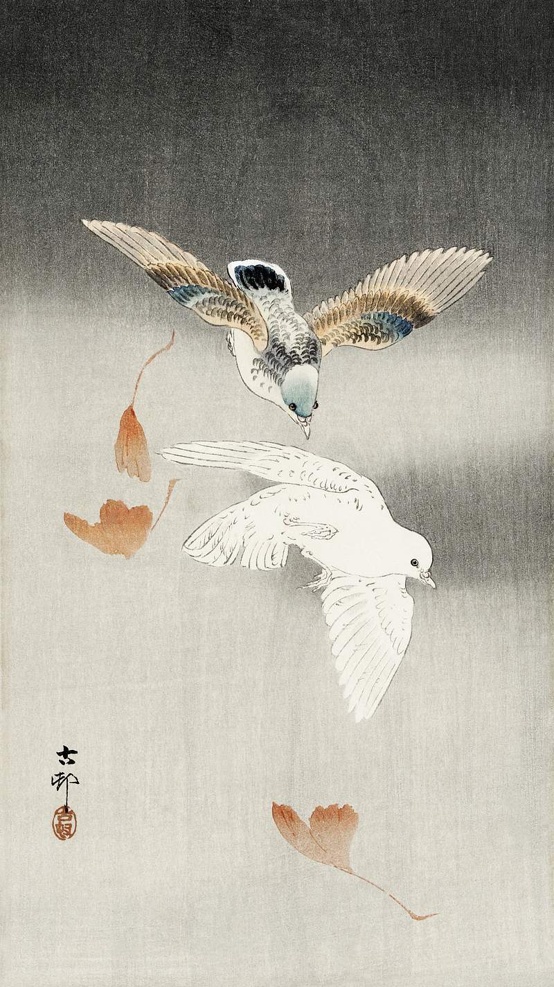 Two pigeons with falling ginkgo leaves (1900 … | Free public domain illustration Two pigeons with falling ginkgo leaves (1900 - 1930) by Ohara Koson (1877-1945). Original from The Rijksmuseum. Digitally…