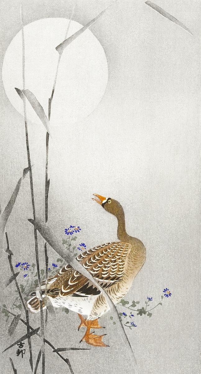 Goose at full moon (1900 - 1936) by Ohara… | Free public domain illustration Goose at full moon (1900 - 1936) by Ohara Koson (1877-1945). Original from The Rijksmuseum. Digitally enhanced by rawpixel.
