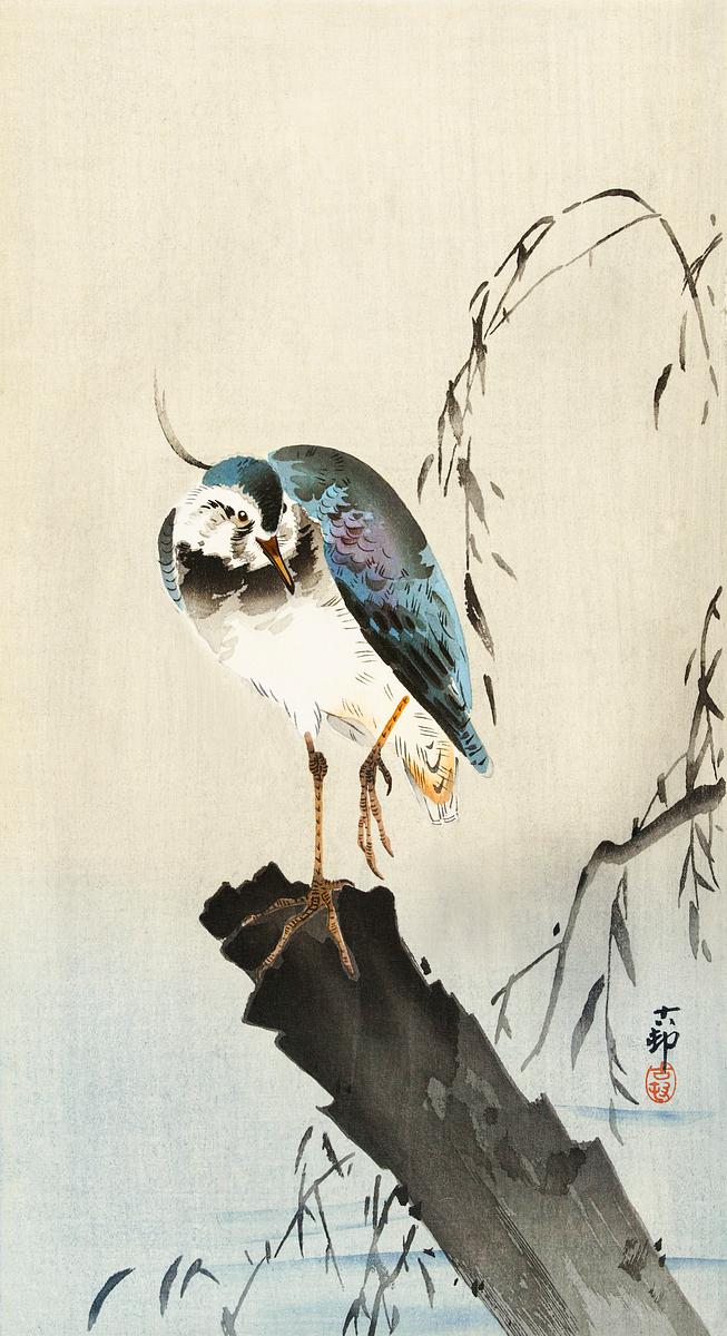 Lapwing on tree stump (1900 - 1930) by Ohara… | Free public domain illustration Lapwing on tree stump (1900 - 1930) by Ohara Koson (1877-1945). Original from The Rijksmuseum. Digitally enhanced by…