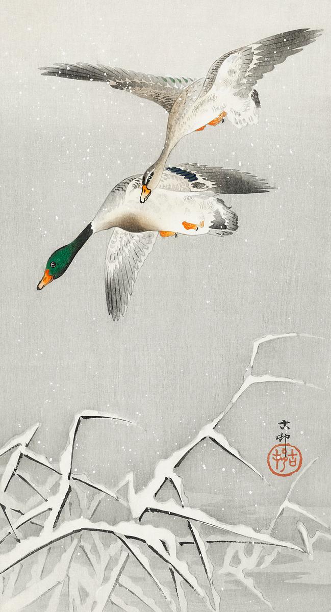 Two wild ducks in flight (1900 - 1936) by… | Free public domain illustration Two wild ducks in flight (1900 - 1936) by Ohara Koson (1877-1945). Original from The Rijksmuseum. Digitally enhanced by…