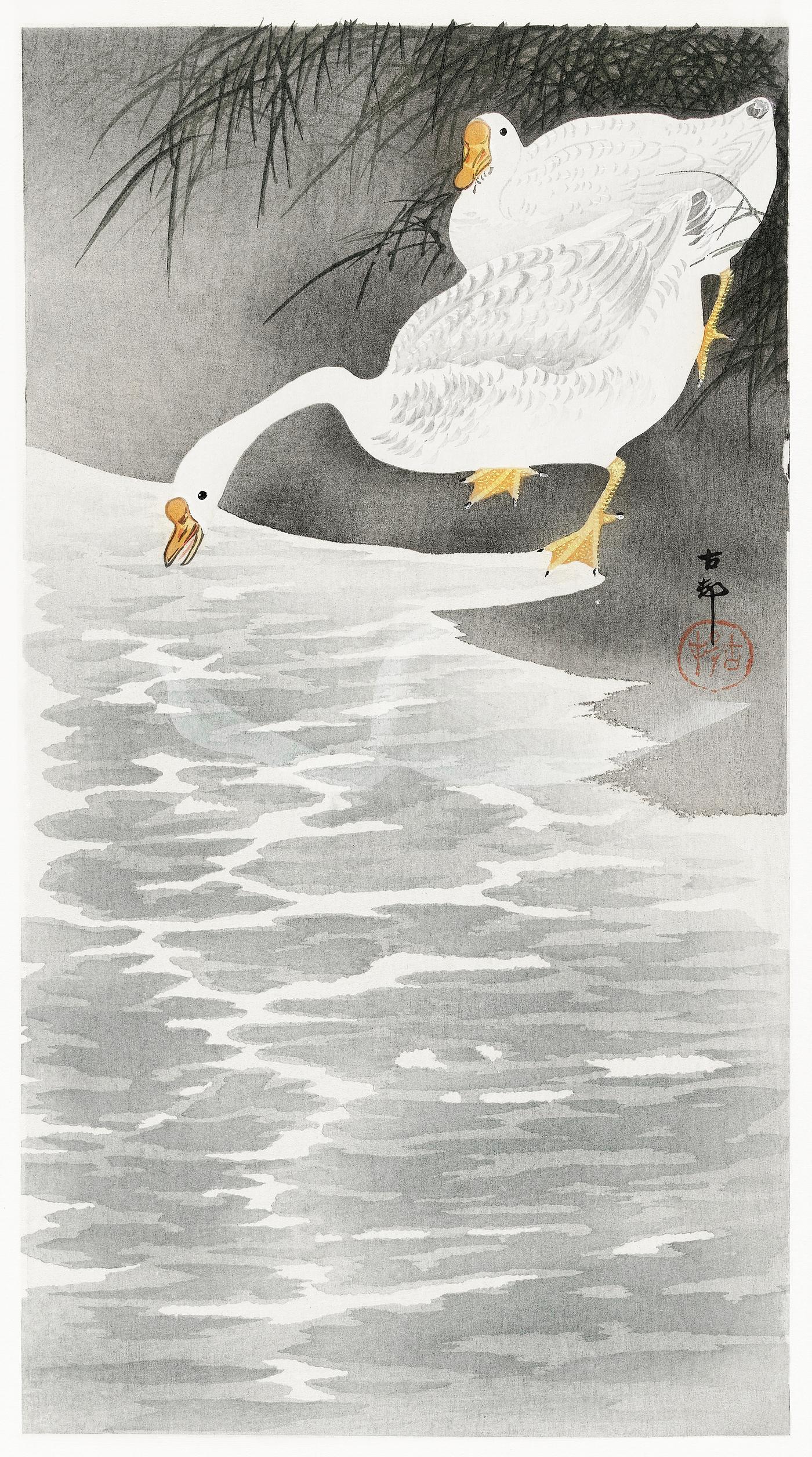 Geese on the shore (1900 - 1930) by Ohara Koson (1877-1945). Original from The Rijksmuseum. Digitally enhanced by rawpixel. Geese on the shore (1900 - 1930) by Ohara Koson (1877-1945). Original from The Rijksmuseum. Digitally enhanced by rawpixel.