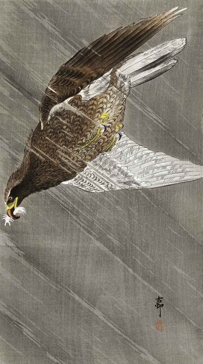 Downward flying eagle (1900 - 1930) by Ohara Koson (1877-1945). Original from The Rijksmuseum. Digitally enhanced by rawpixel. Downward flying eagle (1900 - 1930) by Ohara Koson (1877-1945). Original from The Rijksmuseum. Digitally enhanced by…