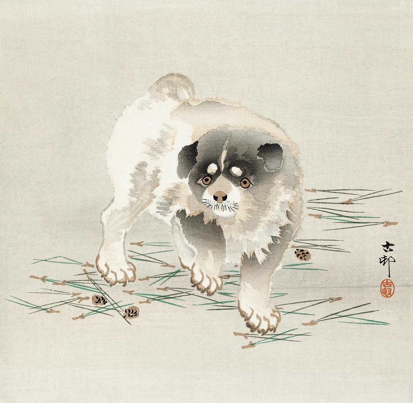Young dog (1900 - 1930) by Ohara Koson (1877-1945). Original from The Rijksmuseum. Digitally enhanced by rawpixel. Young dog (1900 - 1930) by Ohara Koson (1877-1945). Original from The Rijksmuseum. Digitally enhanced by rawpixel.