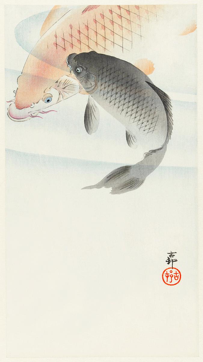 Two carp (1900 - 1930) by Ohara Koson (1877… | Free public domain illustration Two carp (1900 - 1930) by Ohara Koson (1877-1945). Original from The Rijksmuseum. Digitally enhanced by rawpixel.