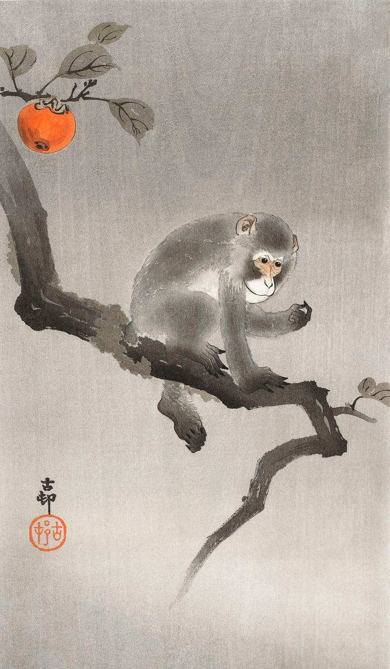 Monkey in cockatoo (1900 - 1930) by Ohara Koson (1877-1945). Original from The Rijksmuseum. Digitally enhanced by rawpixel. Monkey in cockatoo (1900 - 1930) by Ohara Koson (1877-1945). Original from The Rijksmuseum. Digitally enhanced by rawpixel.