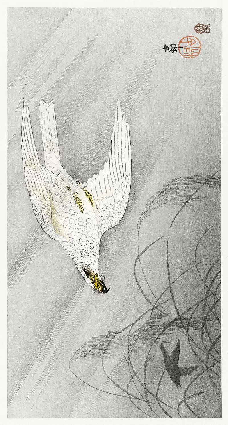 Hunting hawk (1900 - 1910) by Ohara Koson… | Free public domain illustration Hunting hawk (1900 - 1910) by Ohara Koson (1877-1945). Original from The Rijksmuseum. Digitally enhanced by rawpixel.