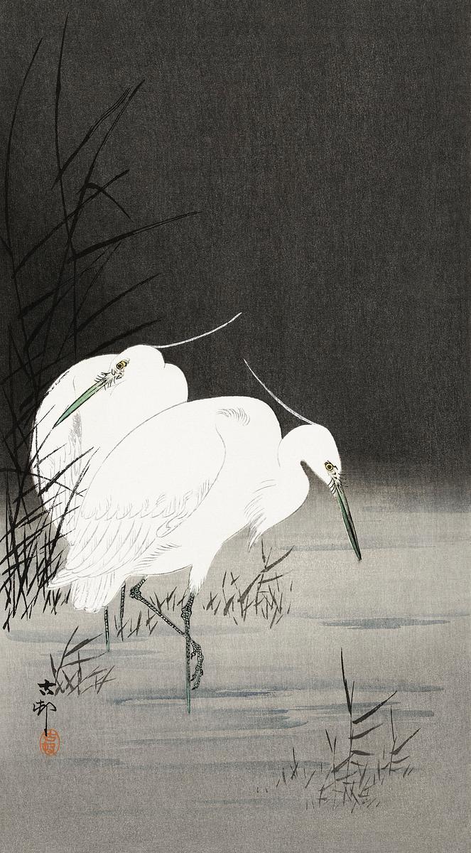 Two egrets in the reeds (1900 - 1930) by… | Free public domain illustration Two egrets in the reeds (1900 - 1930) by Ohara Koson (1877-1945). Original from The Rijksmuseum. Digitally enhanced by…