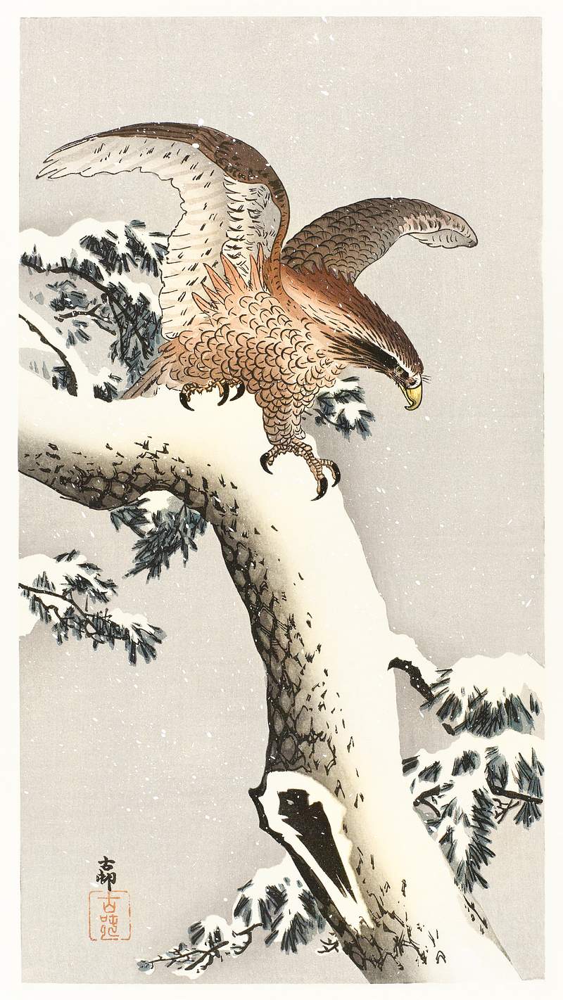 Eagle on a tree branch (1887 - 1930) by Ohara… | Free public domain illustration Eagle on a tree branch (1887 - 1930) by Ohara Koson (1877-1945). Original from The Rijksmuseum. Digitally enhanced by…