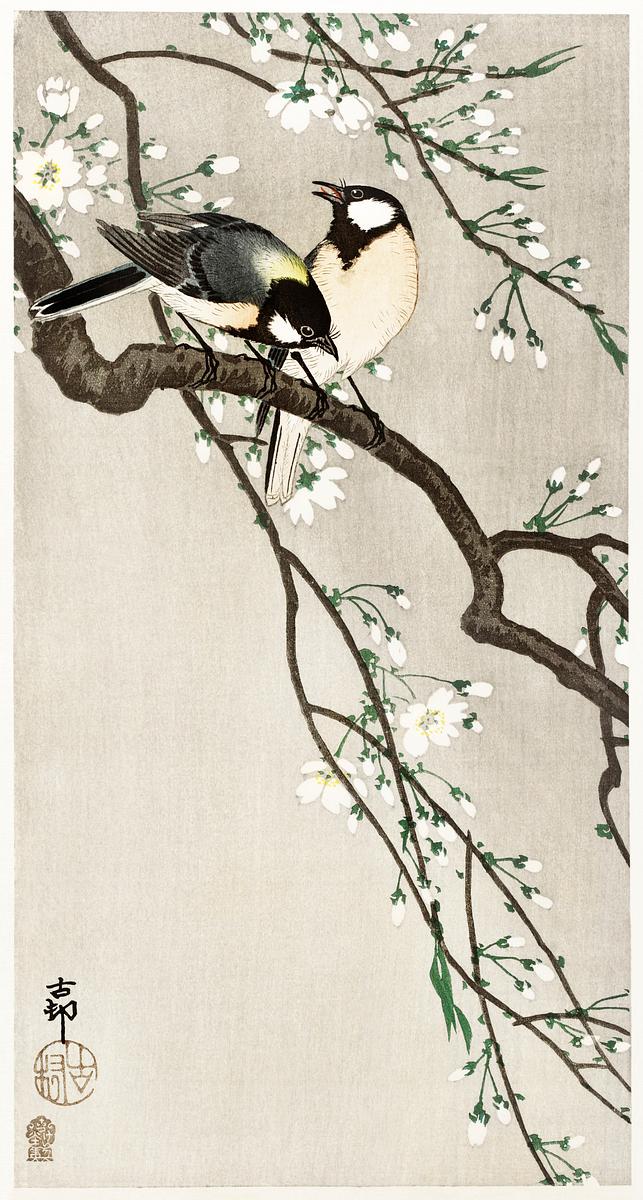 Tits on Cherry Branch (1900 - 1910) by Ohara… | Free public domain illustration Tits on Cherry Branch (1900 - 1910) by Ohara Koson (1877-1945). Original from The Rijksmuseum. Digitally enhanced by…