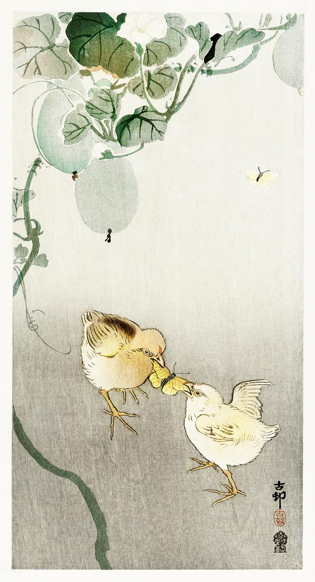 Two chicks fighting for a butterfly (1900 -… | Free public domain illustration Two chicks fighting for a butterfly (1900 - 1910) by Ohara Koson (1877-1945). Original from The Rijksmuseum. Digitally…