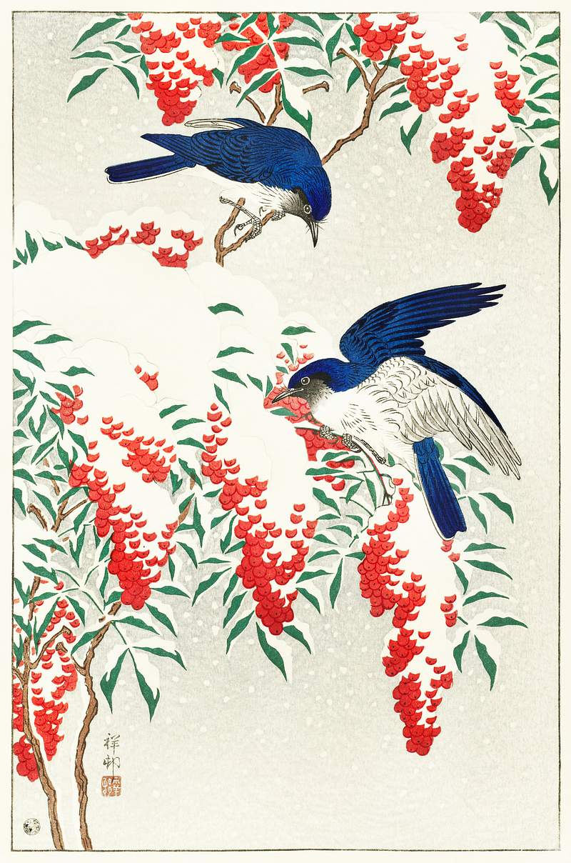 Flycatchers on a nandina bush (1925 - 1936)… | Free public domain illustration Flycatchers on a nandina bush (1925 - 1936) by Ohara Koson (1877-1945). Original from The Rijksmuseum. Digitally enhanced by…