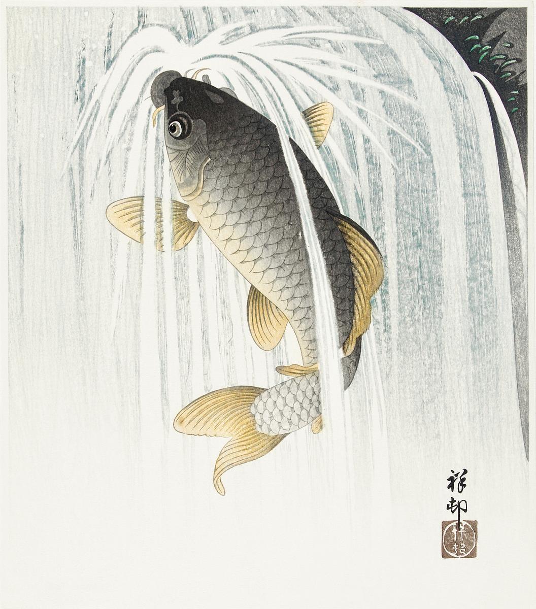 Carp (1935) by Ohara Koson (1877-1945).… | Free public domain illustration Carp (1935) by Ohara Koson (1877-1945). Original from The Rijksmuseum. Digitally enhanced by rawpixel.
