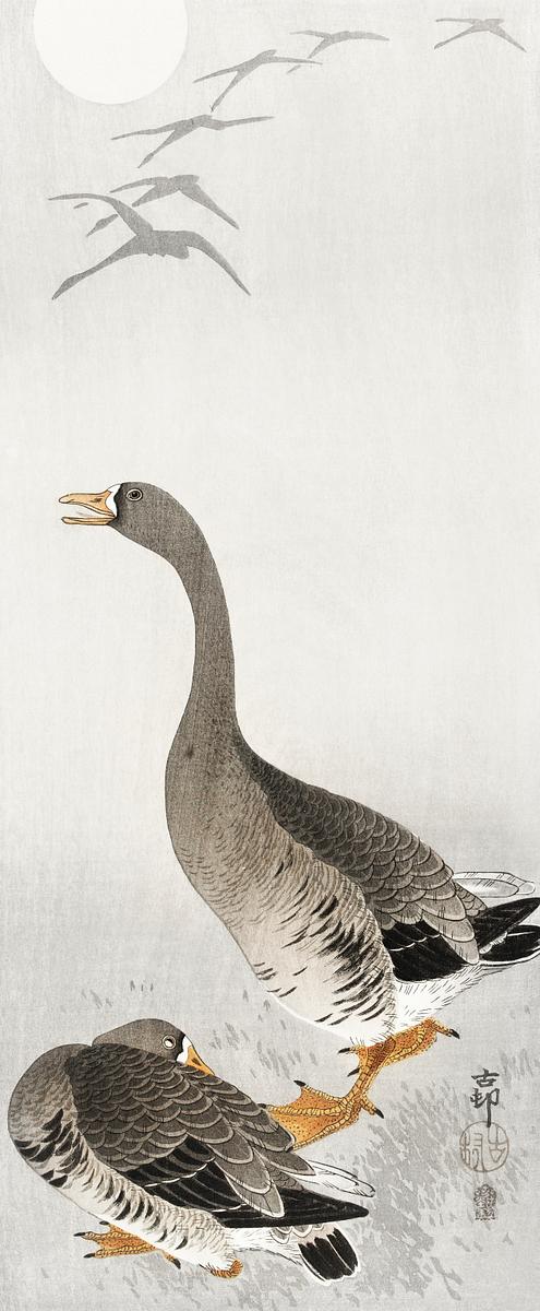 Two geese (1900 - 1910) by Ohara Koson (1877… | Free public domain illustration Two geese (1900 - 1910) by Ohara Koson (1877-1945). Original from The Rijksmuseum. Digitally enhanced by rawpixel.