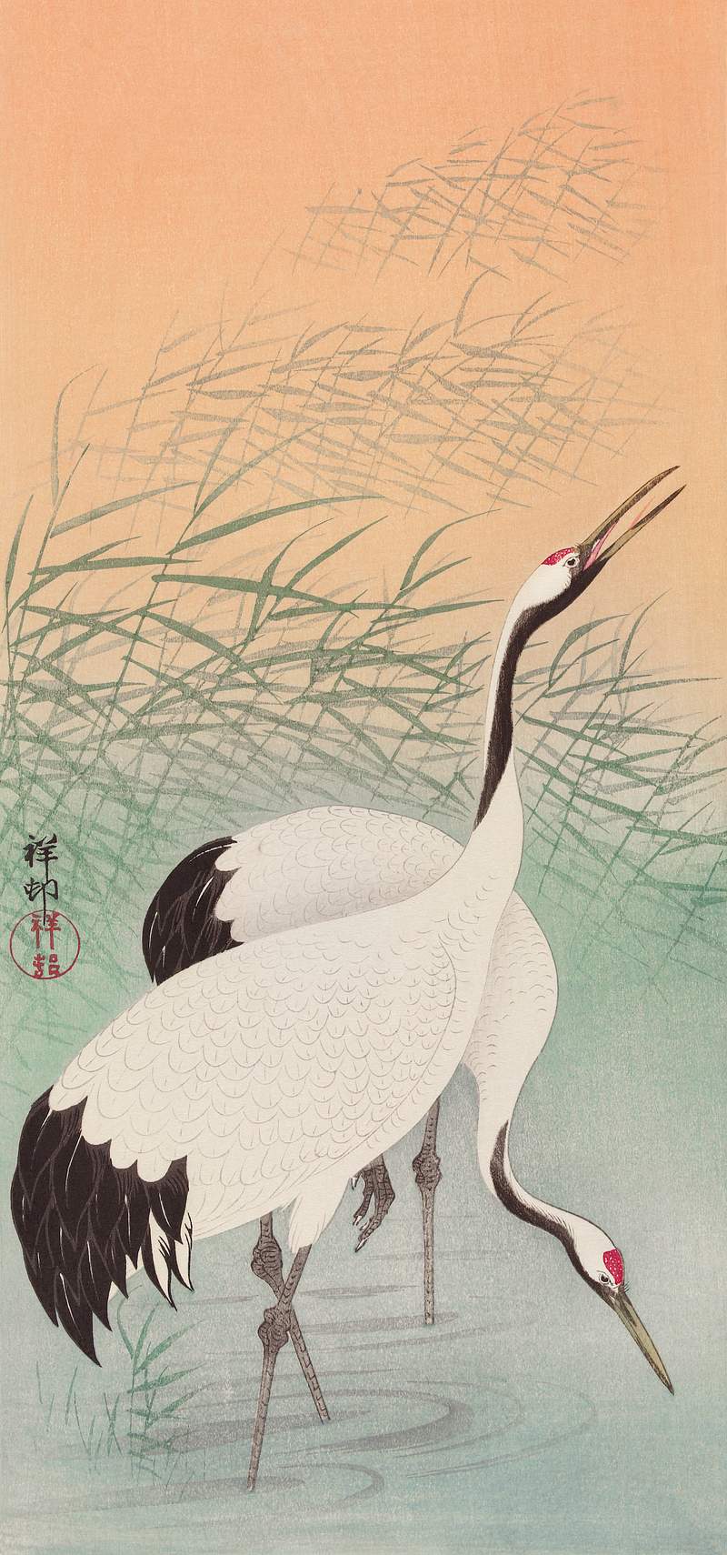 Two cranes Two cranes (1925 - 1936) by Ohara Koson (1877-1945). Original from The Rijksmuseum. Digitally enhanced by rawpixel.