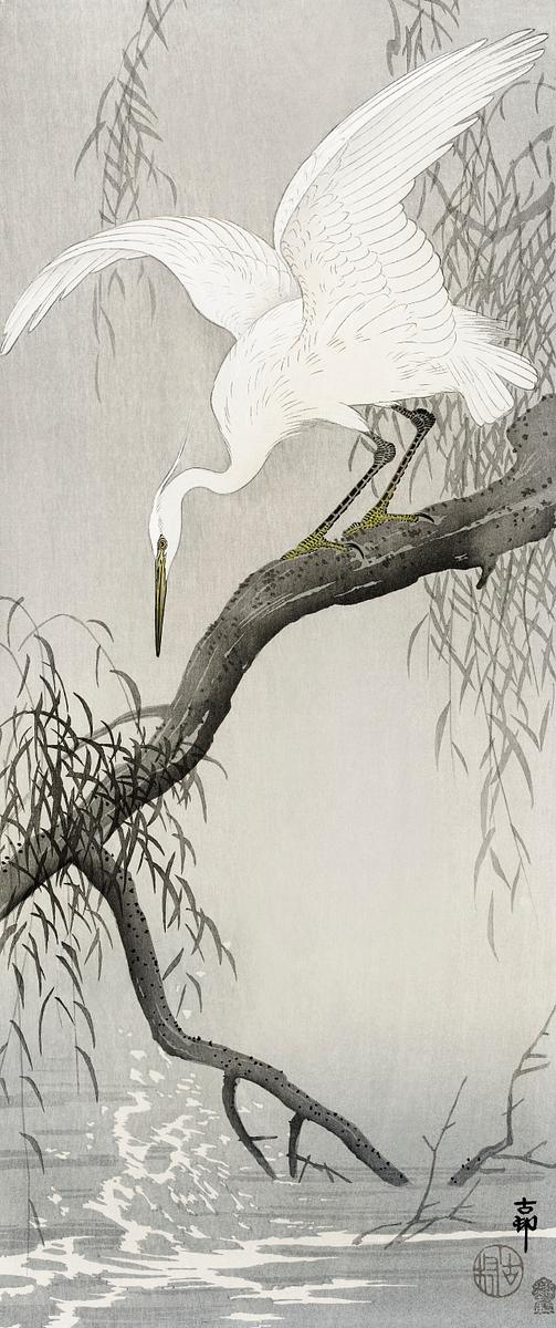 White heron on tree branch (1900 - 1910) by… | Free public domain illustration White heron on tree branch (1900 - 1910) by Ohara Koson (1877-1945). Original from The Rijksmuseum. Digitally enhanced by…
