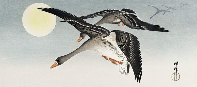 Birds at full moon (1900 - 1936) by Ohara Koson (1877-1945). Original from The Rijksmuseum. Digitally enhanced by rawpixel.