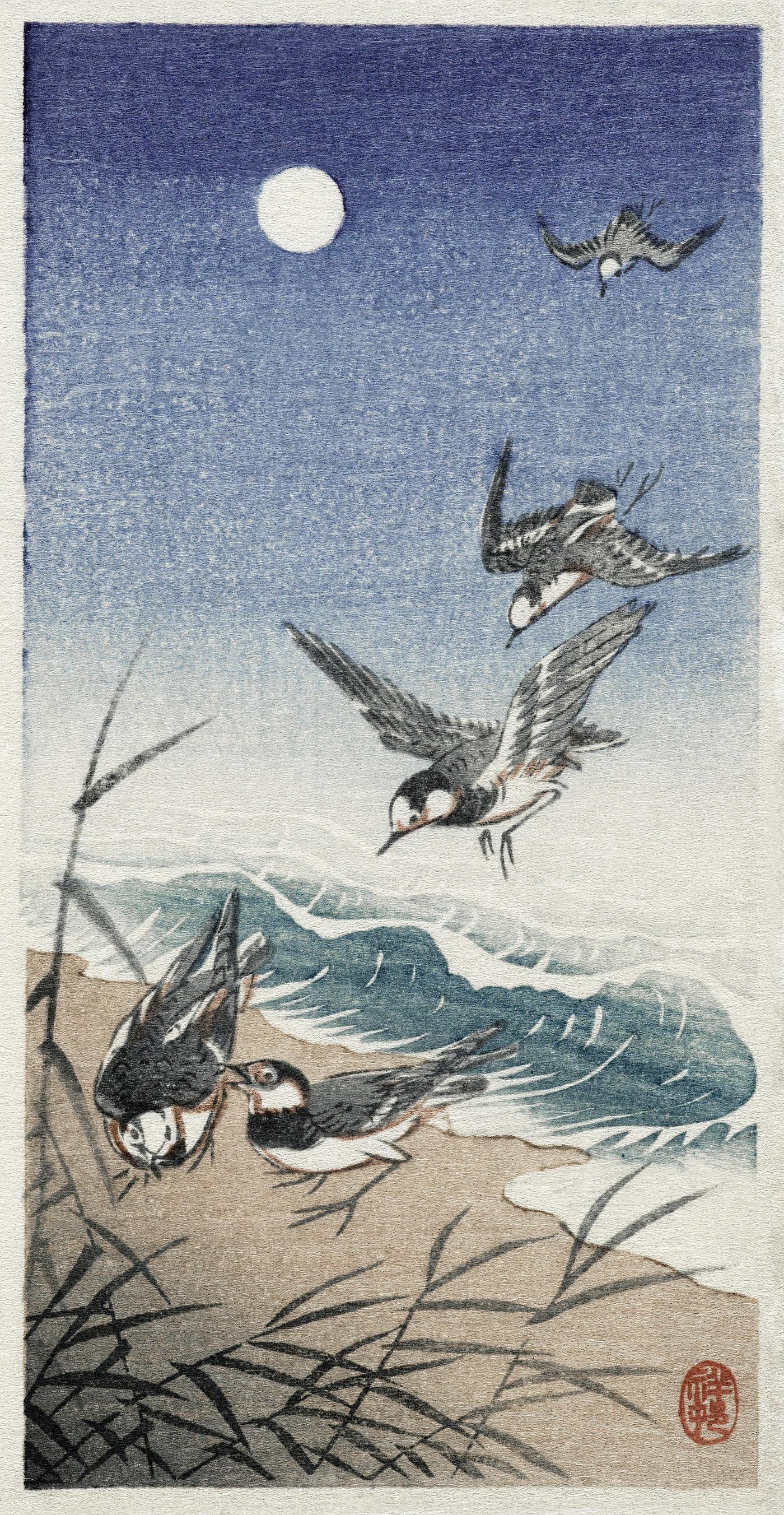 Birds at full moon (1900 - 1936) by Ohara Koson (1877-1945). Original from The Rijksmuseum. Digitally enhanced by rawpixel. Birds at full moon (1900 - 1936) by Ohara Koson (1877-1945). Original from The Rijksmuseum. Digitally enhanced by rawpixel.