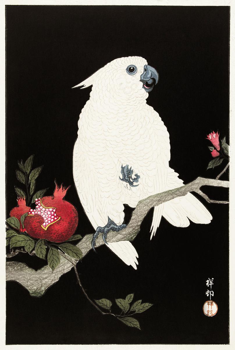 Cockatoo and pomegranate (1925 - 1936) by… | Free public domain illustration Cockatoo and pomegranate (1925 - 1936) by Ohara Koson (1877-1945). Original from The Rijksmuseum. Digitally enhanced by…