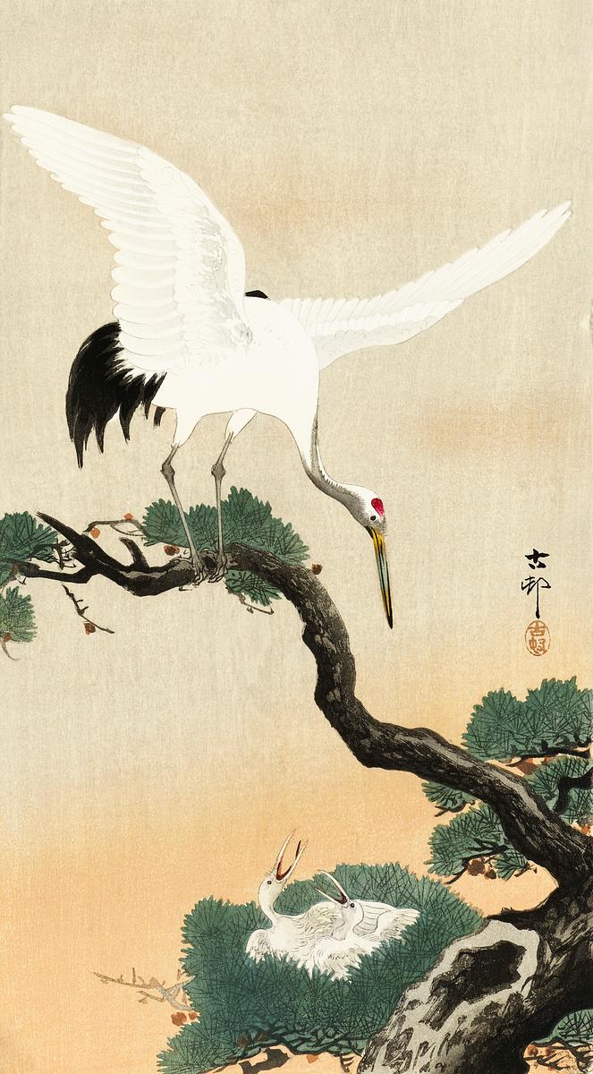 Japanese crane bird on branch of pine (1900 -… | Free public domain illustration Japanese crane bird on branch of pine (1900 - 1930) by Ohara Koson (1877-1945). Original from The Rijksmuseum. Digitally…