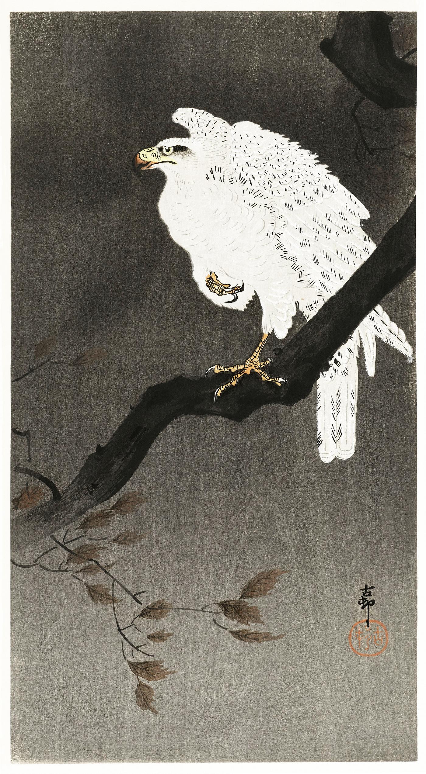 Snowy eagle on a tree branch (1910 - 1930) by Ohara Koson (1877-1945). Original from The Rijksmuseum. Digitally enhanced by... Snowy eagle on a tree branch (1910 - 1930) by Ohara Koson (1877-1945). Original from The Rijksmuseum. Digitally enhanced by...