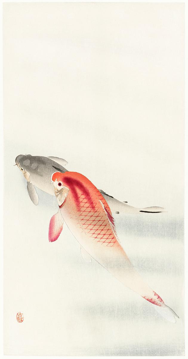 Two carp (1900 - 1930) by Ohara Koson (1877… | Free public domain illustration Two carp (1900 - 1930) by Ohara Koson (1877-1945). Original from The Rijksmuseum. Digitally enhanced by rawpixel.