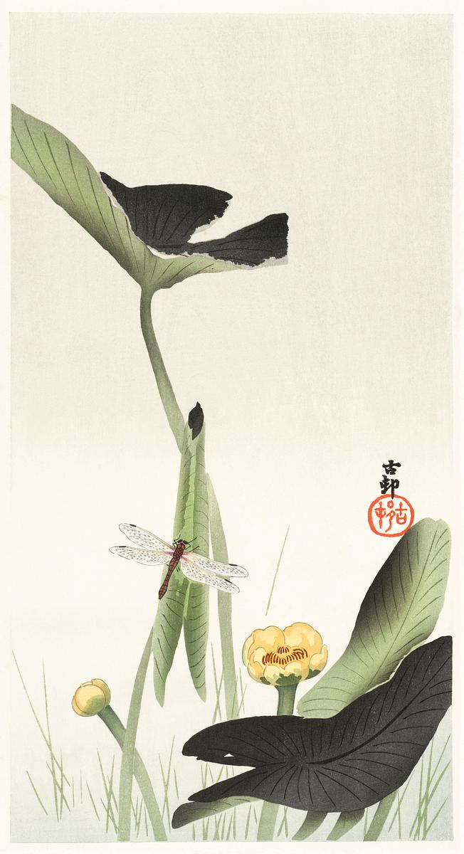 Libelle and lotus (1900 - 1930) by Ohara… | Free public domain illustration Libelle and lotus (1900 - 1930) by Ohara Koson (1877-1945). Original from The Rijksmuseum. Digitally enhanced by rawpixel.