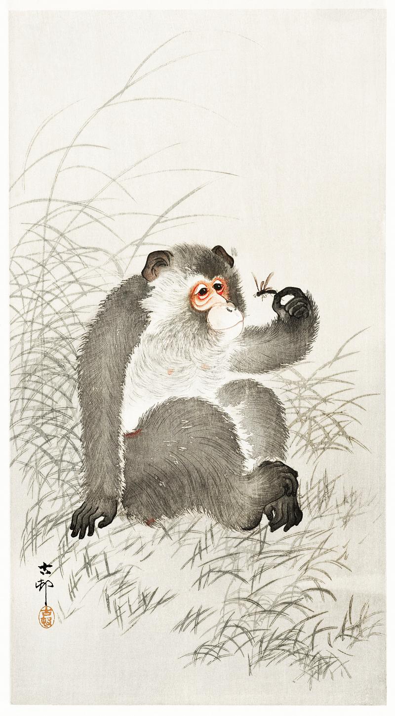 Monkey with insect (1900 - 1930) by Ohara Koson (1877-1945). Original from The Rijksmuseum. Digitally enhanced by rawpixel. Monkey with insect (1900 - 1930) by Ohara Koson (1877-1945). Original from The Rijksmuseum. Digitally enhanced by rawpixel.
