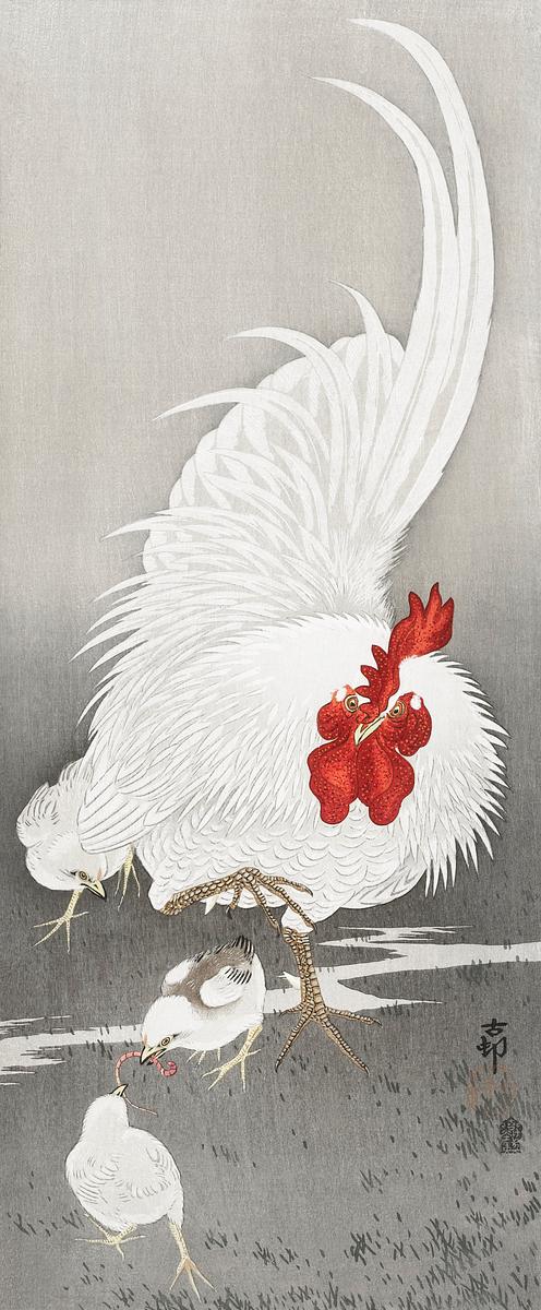 Rooster and three chicks (1900 - 1910) by… | Free public domain illustration Rooster and three chicks (1900 - 1910) by Ohara Koson (1877-1945). Original from The Rijksmuseum. Digitally enhanced by…