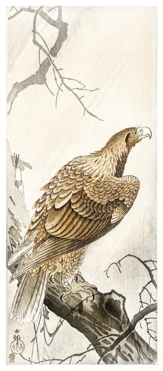 Eagle on tree branch (1900 - 1910) by Ohara… | Free public domain illustration Eagle on tree branch (1900 - 1910) by Ohara Koson (1877-1945). Original from The Rijksmuseum. Digitally enhanced by rawpixel.
