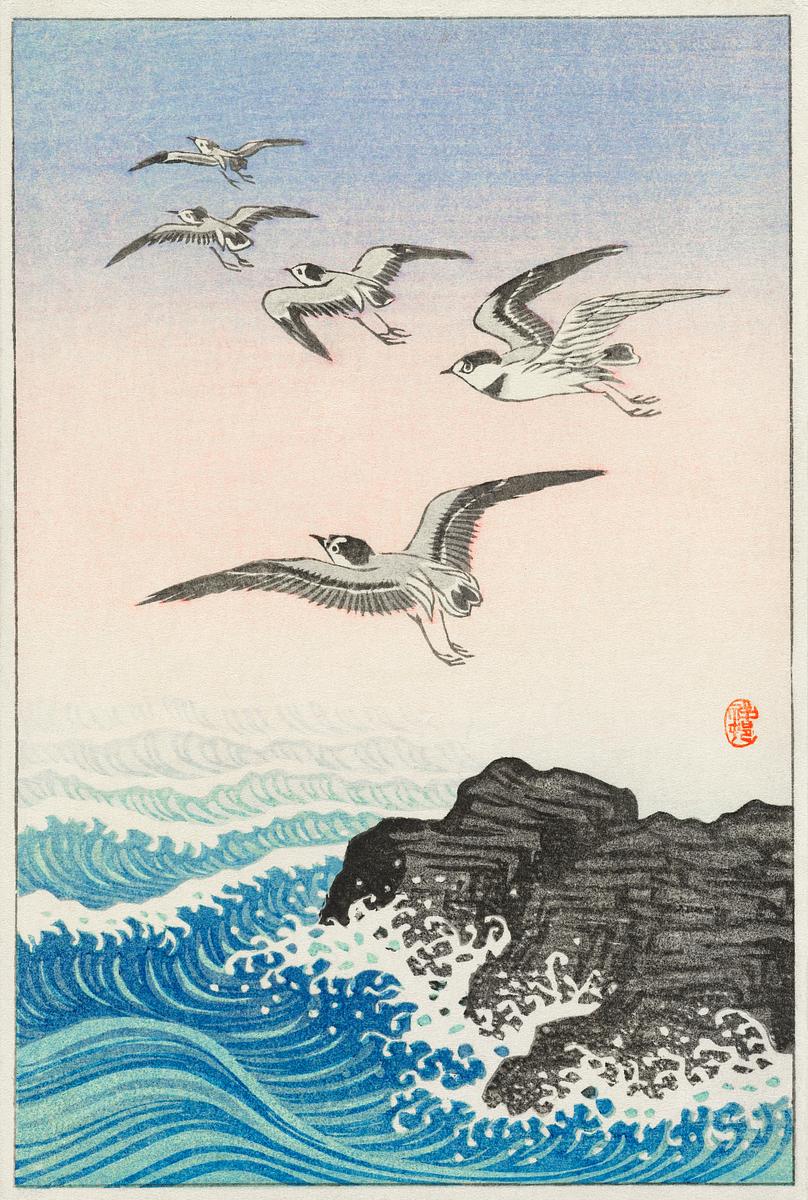 Five seagulls above the sea (1900 - 1945) by… | Free public domain illustration Five seagulls above the sea (1900 - 1945) by Ohara Koson (1877-1945). Original from The Rijksmuseum. Digitally enhanced by…